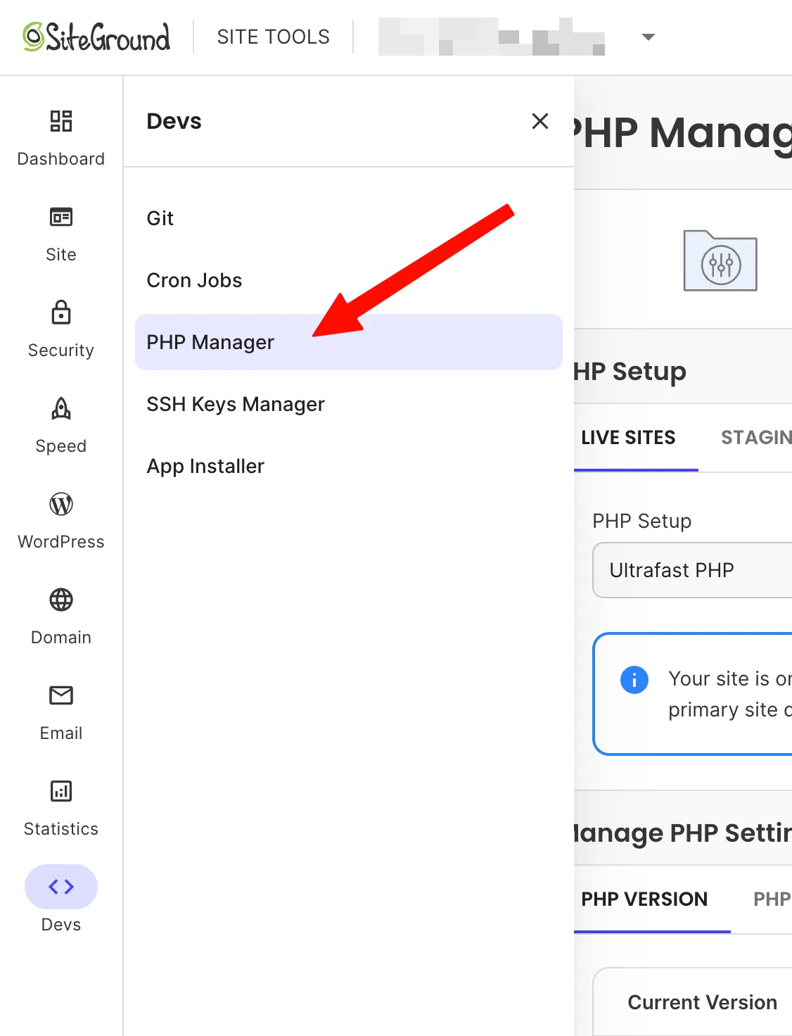SiteGround的PHP Manager SiteGround Site Tools左侧菜单Devs→PHP Manager