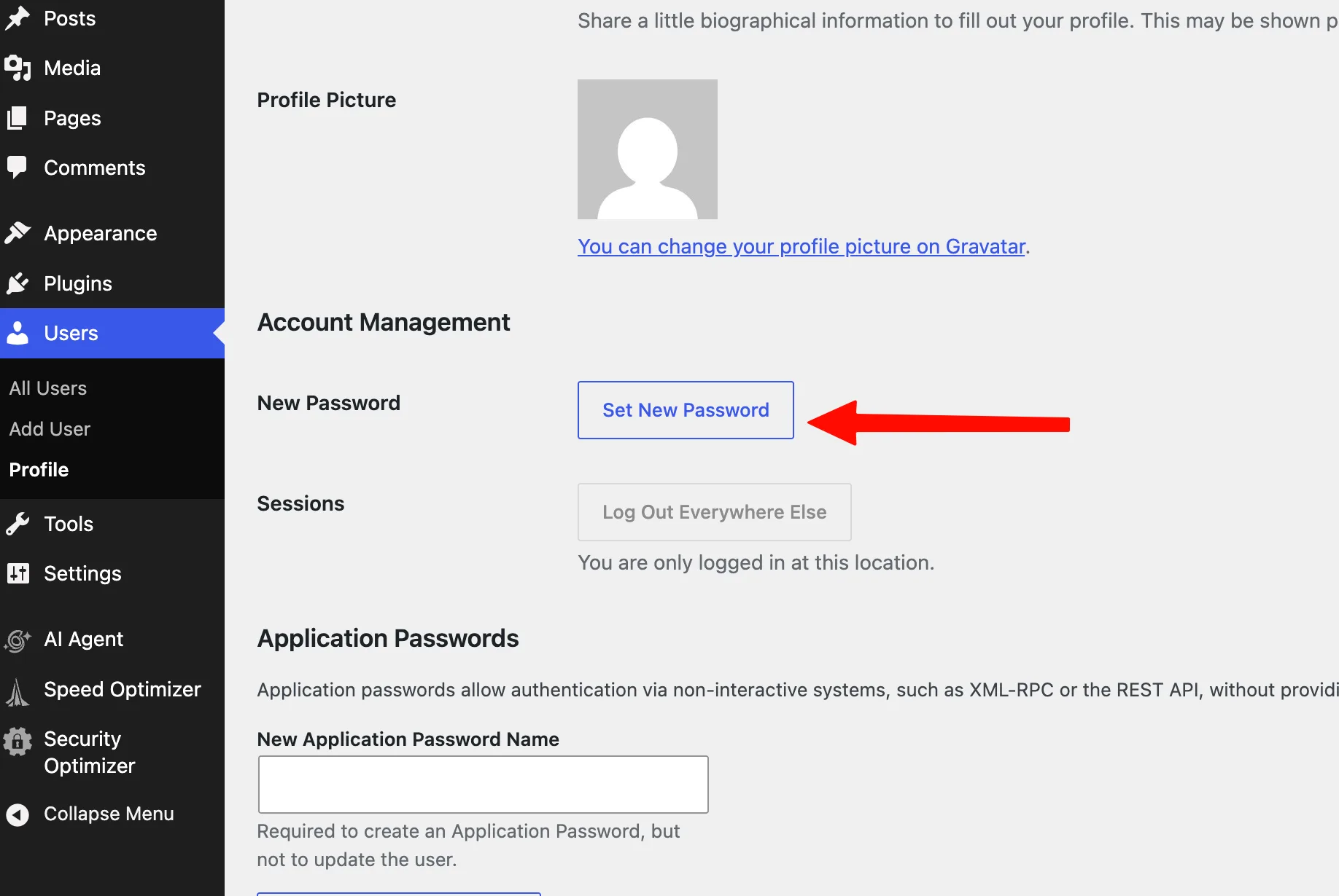 在个人资料页设置新密码 WordPress个人资料页Account Management里的Set New Password按钮